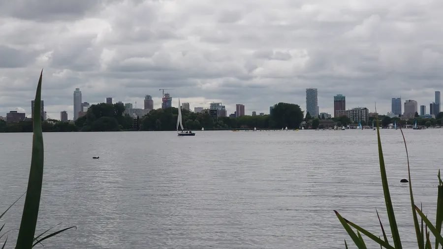 Kralingse Bos, Rotterdam