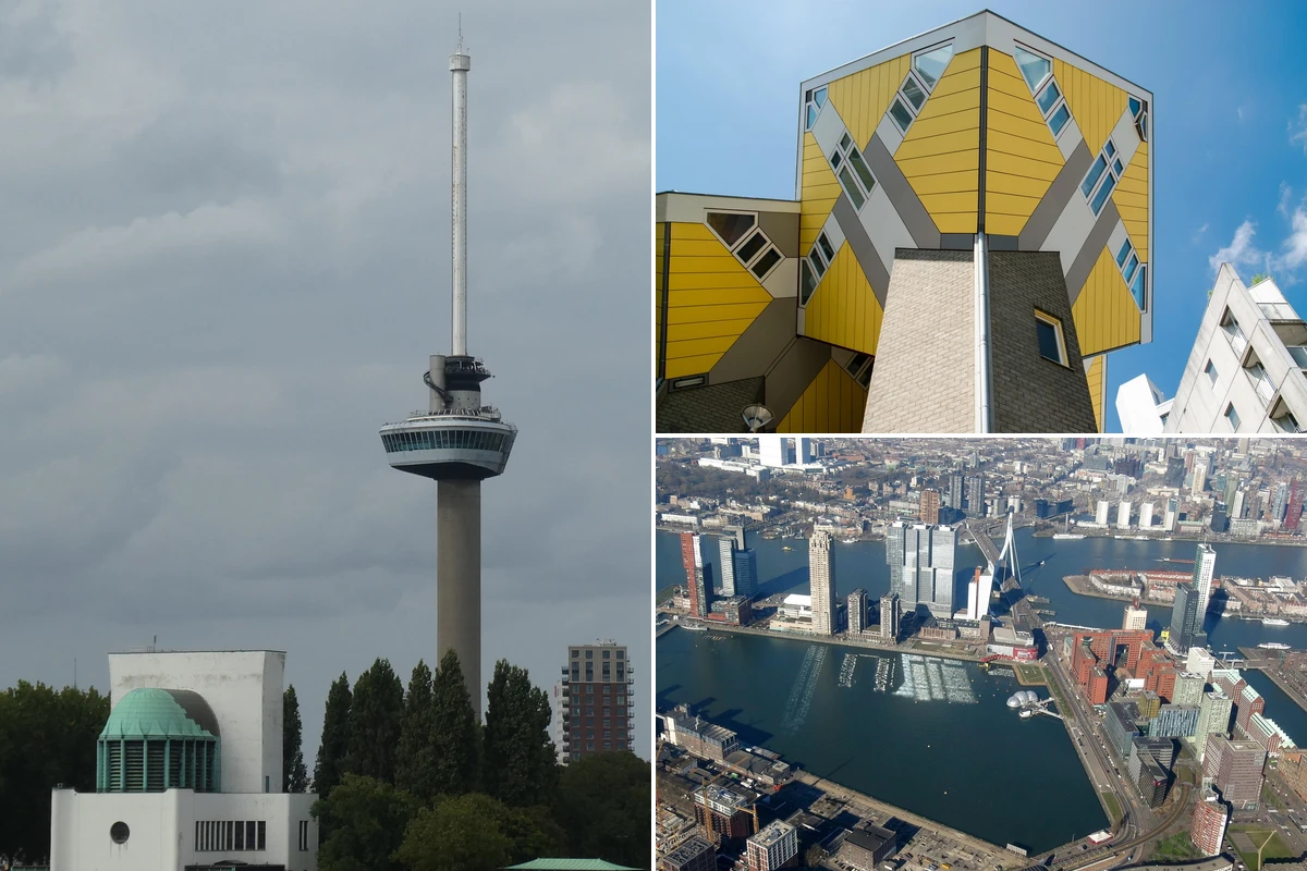 Rotterdam family-friendly outdoor attractions collage featuring Diergaarde Blijdorp zoo, SS Rotterdam steamship, and waterfront parks