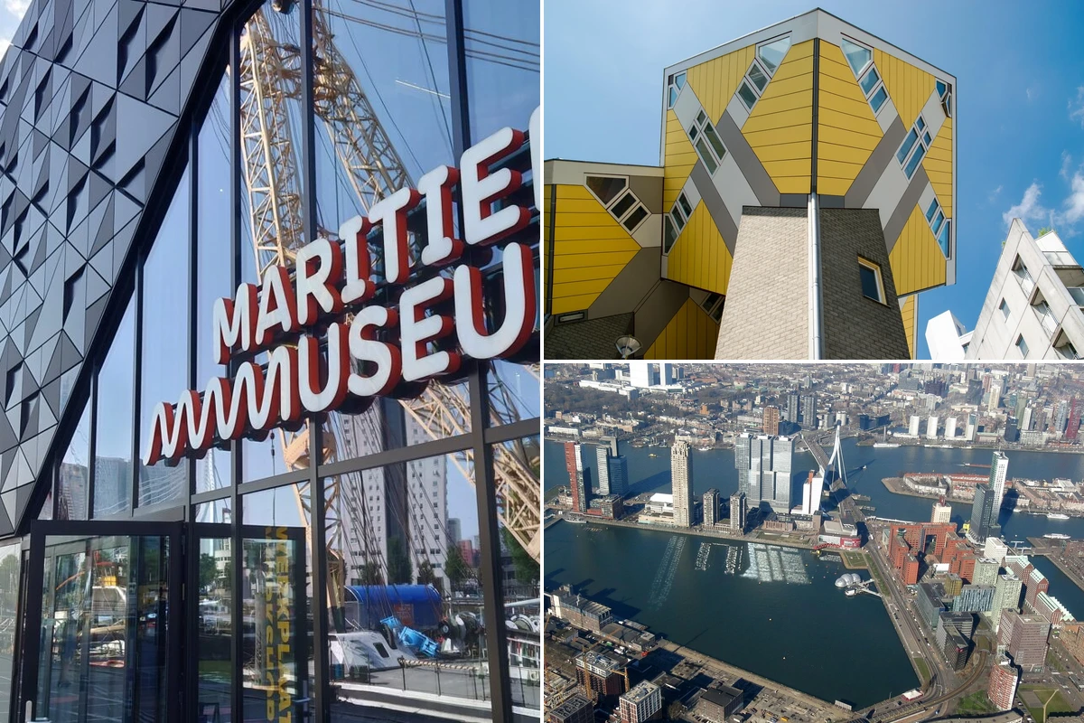 Museums and art culture in Rotterdam collage featuring Depot Boijmans Van Beuningen and art gallery exhibitions